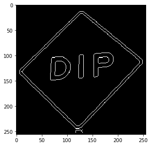 Salient edges of DIP image