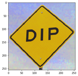 The DIP image