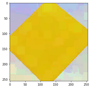 The DIP image, with a meaningful dilation applied