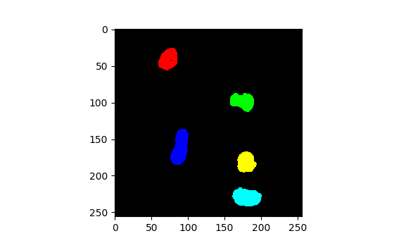 Image with only the 5 largest objects selected