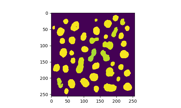 Image where the intensity of each object is its 'Solidity' value